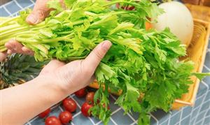 中國抗衰老食品行業(yè)消費需求 中國抗衰老食品行業(yè)投資前景預(yù)測