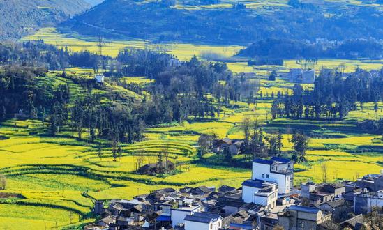 中國田園綜合體開發(fā)建設模式分析 中國田園綜合體發(fā)展前景預測