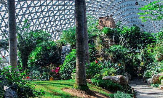 植物園行業(yè)競(jìng)爭(zhēng)格局 植物園行業(yè)“十四五”企業(yè)投資戰(zhàn)略研究