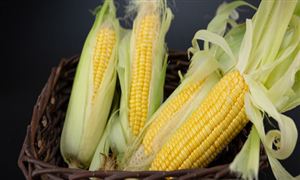 玉米行業(yè)調(diào)研 鮮食玉米行業(yè)市場分析及鮮食玉米行業(yè)發(fā)展前景分析2023