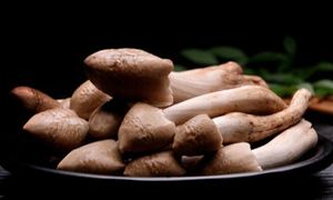 雞樅菌十年漲價(jià)逾十倍 食用菌養(yǎng)殖行業(yè)發(fā)展現(xiàn)狀及前景分析2023