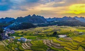 中國(guó)農(nóng)業(yè)產(chǎn)業(yè)化聯(lián)合體發(fā)展現(xiàn)狀 中國(guó)農(nóng)業(yè)產(chǎn)業(yè)化聯(lián)合體投資前景預(yù)測(cè)