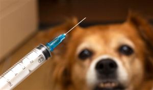 中國狂犬疫苗行業(yè)市場調(diào)研2023  狂犬疫苗出口市場廣闊