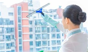 2023年家政行業(yè)市場深度分析 我國將從六方面促進(jìn)家政服務(wù)業(yè)提質(zhì)擴(kuò)容