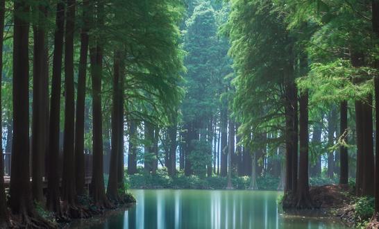 中國濕地開發(fā)行業(yè)發(fā)展前景及投資風(fēng)險預(yù)測分析2023