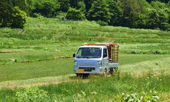 中國輕型卡車市場深度全景調(diào)研及投資前景分析2023
