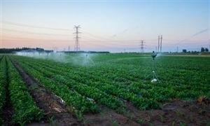 雙碳”目標遠景下 節(jié)水灌溉市場未來趨勢預測