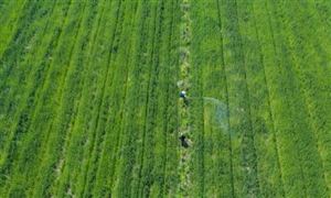 植保機(jī)械行業(yè)市場運(yùn)行現(xiàn)狀分析2023