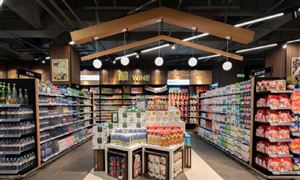 2023年中國天然食用色素行業(yè)市場深度分析