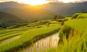 水利部三方面重點(diǎn)強(qiáng)化農(nóng)村供水保障 農(nóng)村水利工程行業(yè)市場(chǎng)前瞻