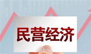 促進民營經濟做大做優(yōu)做強 民營經濟行業(yè)市場全景調研