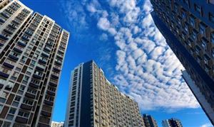 深圳：申請公租房要看家庭年收入和財產(chǎn)總額  住房租賃市場深度調(diào)研