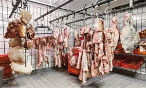 冷凍牛肉規(guī)模數(shù)據(jù)分析 中國冷凍牛肉行業(yè)發(fā)展趨勢(shì)分析