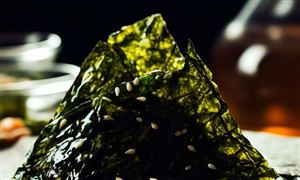 我國海藻提取物行業(yè)市場規(guī)模將超過100億元 海藻提取物行業(yè)市場發(fā)展空間分析
