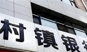 100% 又有農(nóng)商銀行增持村鎮(zhèn)銀行股權(quán) 村鎮(zhèn)銀行行業(yè)市場投資前景預(yù)測