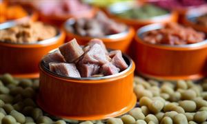 中國寵物食品行業(yè)分析 功能性寵物食品逐漸向人類保健品靠攏