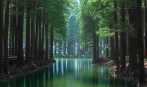 生態(tài)環(huán)境行業(yè)數(shù)據(jù)統(tǒng)計 2023年中國生態(tài)環(huán)境行業(yè)發(fā)展現(xiàn)狀調(diào)查