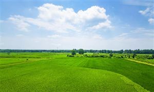 2023化肥行業(yè)深度分析報告：需求旺季到來，化肥價格出現(xiàn)明顯回暖