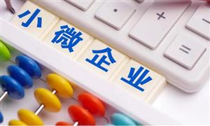 共同推動中小微企業(yè)在數(shù)字時代創(chuàng)新發(fā)展 2023小微金融行業(yè)市場前瞻與未來投資