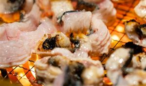 2023年鰻苗捕撈季共捕獲鰻苗49噸 2023年中國(guó)鰻魚(yú)行業(yè)發(fā)展現(xiàn)狀分析