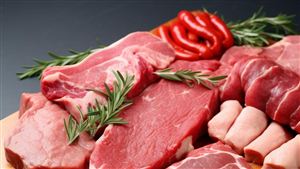 2023我國(guó)肉牛養(yǎng)殖生產(chǎn)現(xiàn)狀 未來(lái)高端肉牛養(yǎng)殖國(guó)產(chǎn)化率
