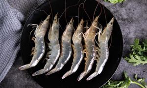 2023海鮮行業(yè)發(fā)展分析 海鮮陸?zhàn)B將是水產(chǎn)養(yǎng)殖發(fā)展大方向