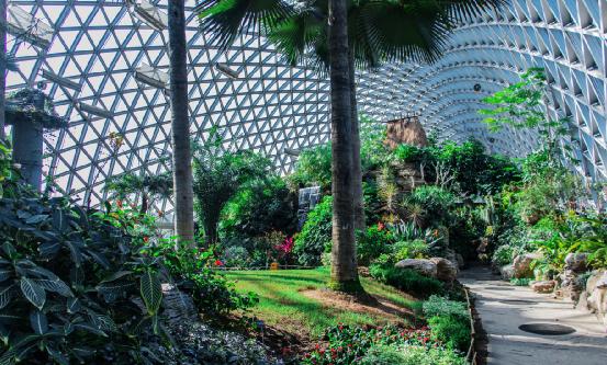 2023年中國(guó)植物園行業(yè)深度調(diào)研與發(fā)展趨勢(shì)預(yù)測(cè)研究報(bào)告