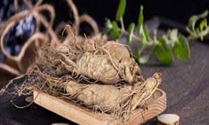 人參市場調(diào)研 ：未來中國人參市場規(guī)模將進一步擴張