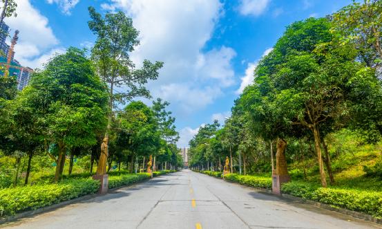 中國園區(qū)經(jīng)濟行業(yè)發(fā)展研究分析 越來越多園區(qū)開始尋求數(shù)字化轉(zhuǎn)型