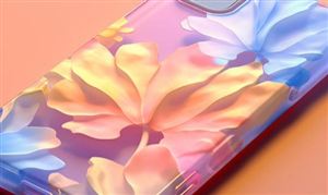 中國(guó)手機(jī)殼行業(yè)發(fā)展現(xiàn)狀及趨勢(shì)預(yù)測(cè)