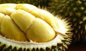 中國人吃掉全球91%榴蓮 國產(chǎn)榴蓮什么時候上市