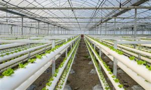 有機農(nóng)業(yè)行業(yè)市場深度調(diào)研：有機食品國內(nèi)外市場不斷擴大