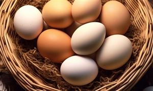 中國雞蛋行業(yè)供需格局分析 2023年雞蛋行業(yè)市場趨勢預(yù)測