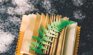 文化創(chuàng)意產(chǎn)業(yè)迎來快速發(fā)展的新時代 文化創(chuàng)意產(chǎn)業(yè)市場現(xiàn)狀調研分析