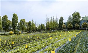 設(shè)施農(nóng)業(yè)行業(yè)發(fā)展機(jī)遇分析2023