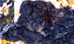 重晶石行業(yè)發(fā)展趨勢及市場現(xiàn)狀分析