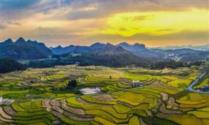 農(nóng)業(yè)機械化行業(yè)發(fā)展前景及現(xiàn)狀分析
