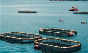 海洋牧場行業(yè)市場環(huán)境分析 海洋牧場行業(yè)發(fā)展趨勢預測