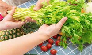 新時(shí)期下農(nóng)產(chǎn)品配送新模式 農(nóng)產(chǎn)品配送行業(yè)市場發(fā)展分析