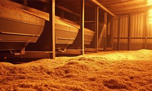 生物質(zhì)能發(fā)電行業(yè)分析：行業(yè)朝著規(guī)范化、市場化方向發(fā)展
