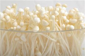 2023食用菌產(chǎn)業(yè)新模式持續(xù)發(fā)展