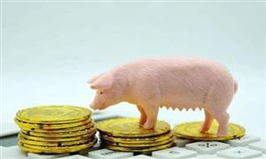 2023豬肉深加工行業(yè)發(fā)展前景與機(jī)遇：預(yù)計(jì)四季度豬價(jià)季節(jié)性回暖 