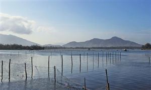 智慧水產(chǎn)養(yǎng)殖行業(yè)發(fā)展?fàn)顩r調(diào)查及前景展望