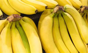 2023香蕉行業(yè)種植面積、產(chǎn)量及發(fā)展現(xiàn)狀分析