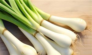 全國大蔥種植面積達850萬畝 大蔥產(chǎn)品行業(yè)市場需求分析