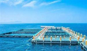 海洋經(jīng)濟(jì)發(fā)展現(xiàn)狀前景預(yù)測：海洋經(jīng)濟(jì)繼續(xù)呈現(xiàn)穩(wěn)中向好態(tài)勢