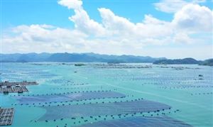 海洋牧場(chǎng)行業(yè)發(fā)展現(xiàn)狀分析與目標(biāo)：到2030年中國(guó)的海洋牧場(chǎng)總產(chǎn)量將達(dá)到1400萬(wàn)噸