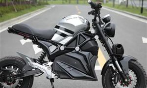 電動(dòng)摩托車市場(chǎng)競(jìng)爭(zhēng)激烈：電動(dòng)摩托車重點(diǎn)企業(yè)營(yíng)收及利潤(rùn)對(duì)比
