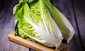 大白菜行業(yè)市場現(xiàn)狀機遇深度調(diào)研2023