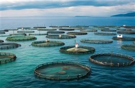 2023中國海洋漁業(yè)行業(yè)產(chǎn)業(yè)規(guī)劃和指導